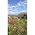 旅行风景3720
