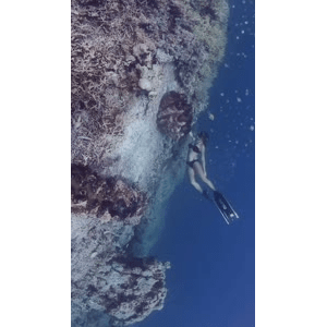 旅行风景3724