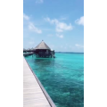 旅行风景3725