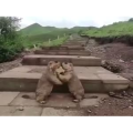 旅行风景3734