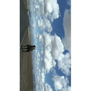 旅行风景3736