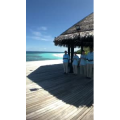 旅行风景3750
