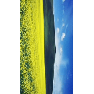 旅行风景3777