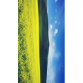 旅行风景3777
