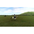 旅行风景3779