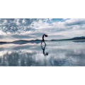 旅行风景3787