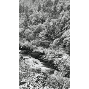 旅行风景3795