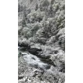 旅行风景3795