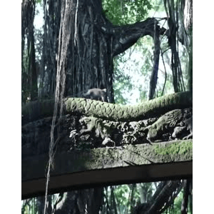 旅行风景3799