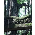旅行风景3799