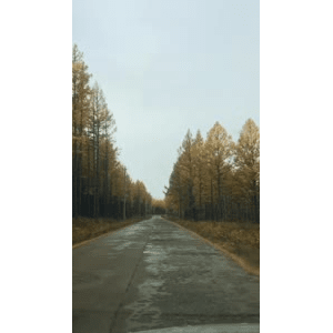 旅行风景3800