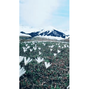 旅行风景3815