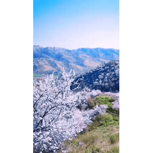 旅行风景3819
