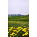 旅行风景3820