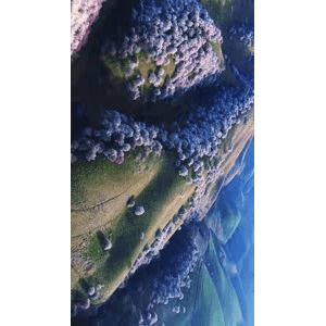 旅行风景3824