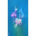 旅行风景3825