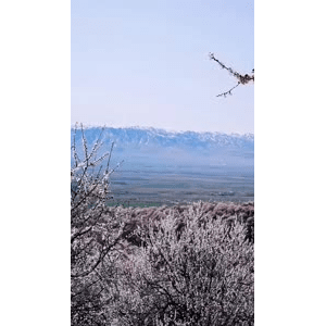 旅行风景3827