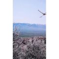旅行风景3827