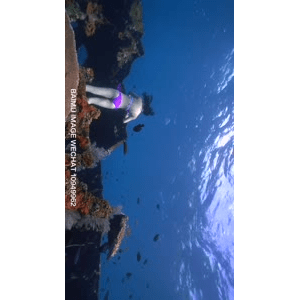 旅行风景3833