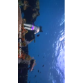 旅行风景3833