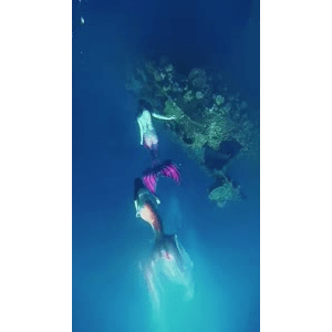 旅行风景3835