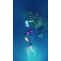 旅行风景3835