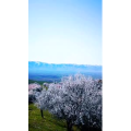 旅行风景3840