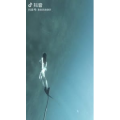 旅行风景3844