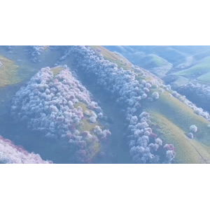 旅行风景3845