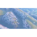 旅行风景3845