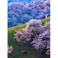 旅行风景3872