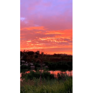 旅行风景3876