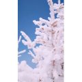 旅行风景3889