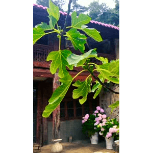 旅行风景3903