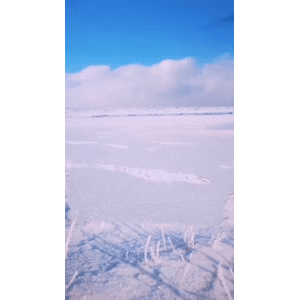 旅行风景3907