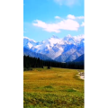 旅行风景3912