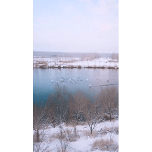 旅行风景3914