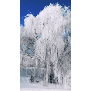 旅行风景3921