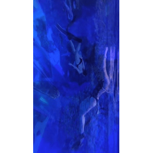 旅行风景3928