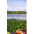 旅行风景3929
