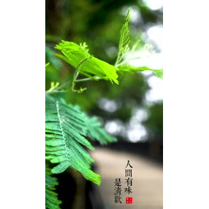 旅行风景3932