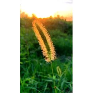 旅行风景3934