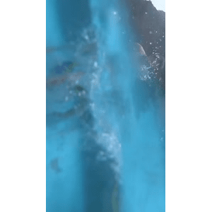 旅行风景3935