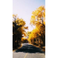 旅行风景3938