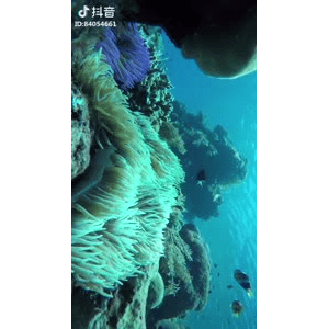 旅行风景3939