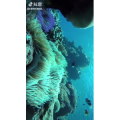 旅行风景3939