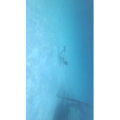 旅行风景3940
