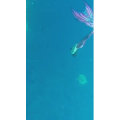 旅行风景3944