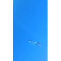 旅行风景3949