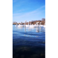 旅行风景3964
